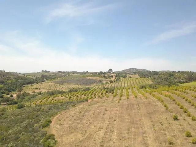 9153 W Lilac Road, Escondido, CA 92026 - #3