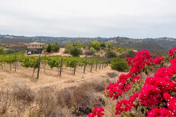 1738 Via De Lago, Fallbrook, CA 92028