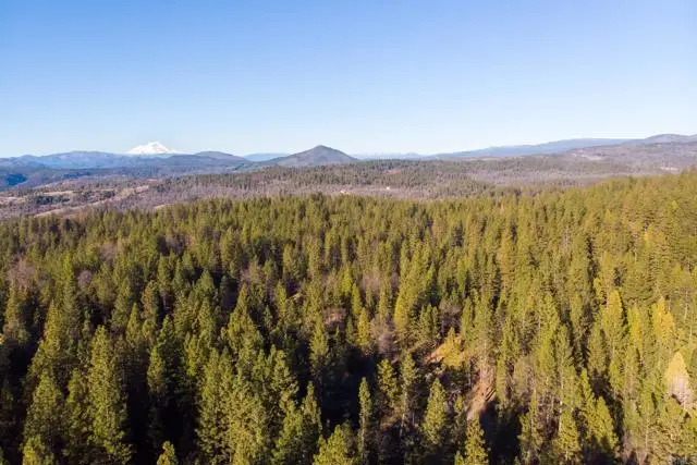 29276 Bullskin Ridge Rd, Oak Run, CA 96069 - Image #2