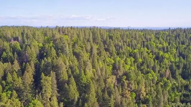 29276 Bullskin Ridge Rd, Oak Run, CA 96069 - Image #3