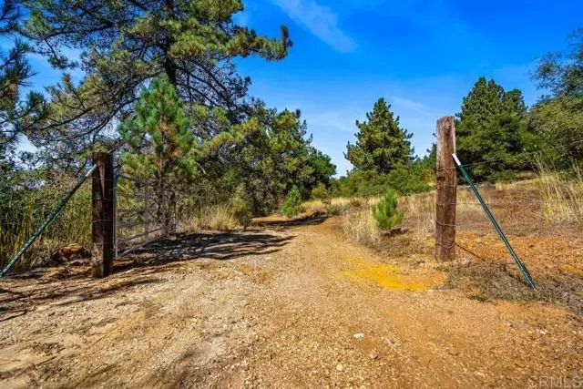 120 Vacant Land Mesa Grande Road, Santa Ysabel, CA 92070 - Image #3