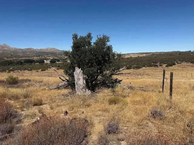 0 Montezuma Valley Road, Ranchita, CA 92066 - Image #3