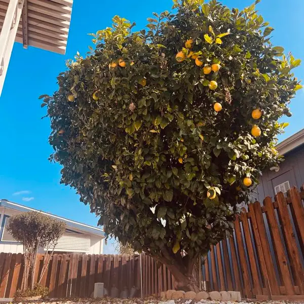 27250 Murrieta Road #364, Menifee, CA 92586