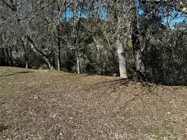 8209 Woody Point Lane, Bradley, CA 93426