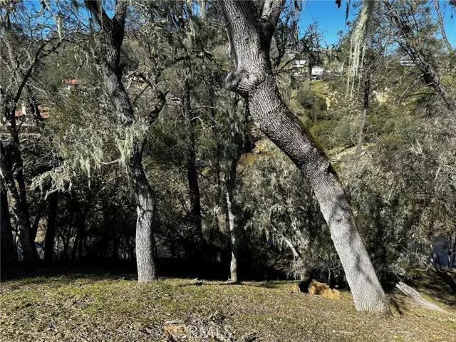 8209 Woody Point Lane, Bradley, CA 93426 - Image #3