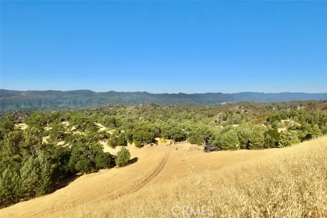 74010 Copperhead Road, Bradley, CA 93426 - #2