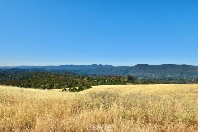 74010 Copperhead Road, Bradley, CA 93426 - #3