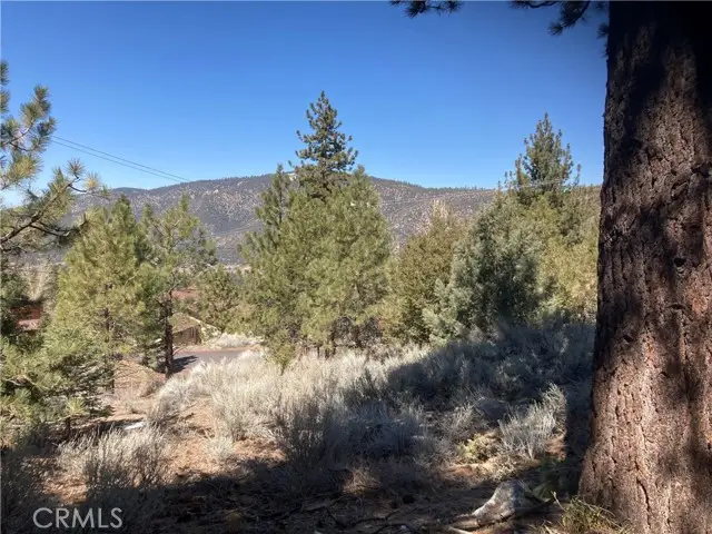 15125 Chestnut Drive, Pine Mountain Club, CA 93222 - Image #3