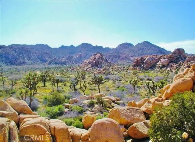 61936 El Reposo Circle, Joshua Tree, CA 92252 - Image #1