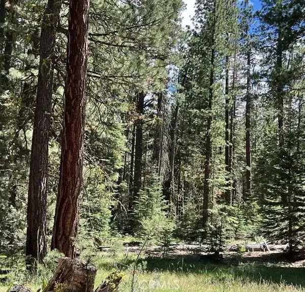 4 Lot93 Block 15, Alturas, CA 96101