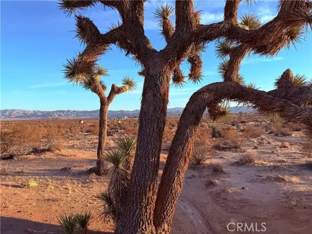 2700 Del Sol, Joshua Tree, CA 92252 - Image #1