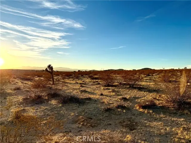 2700 Del Sol, Joshua Tree, CA 92252 - Image #2