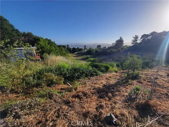 #2