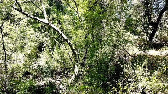 19 Hombre, Murrieta, CA 92562 - Image #1