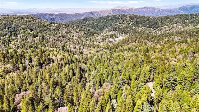 22384 Crest Forest Road, Cedarpines Park, CA 92322 - #3