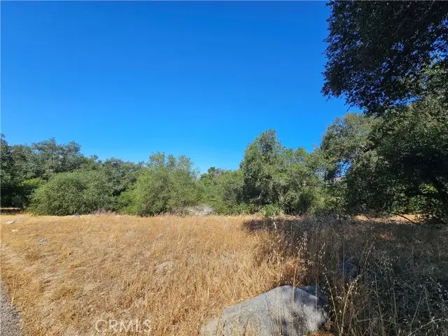 #3