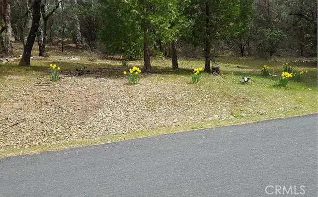 13279 Thoroughbred Loop, Grass Valley, CA 95949 - Image #2