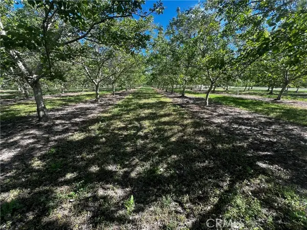 4180 County 203 Road, Hamilton City, CA 95951