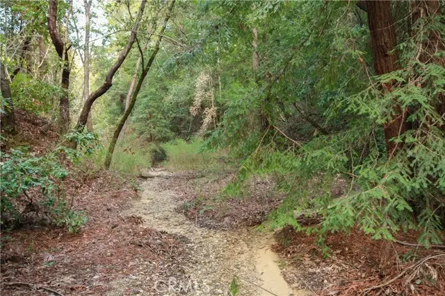 0 Old Mill Road, Felton, CA 95018 - Image #2