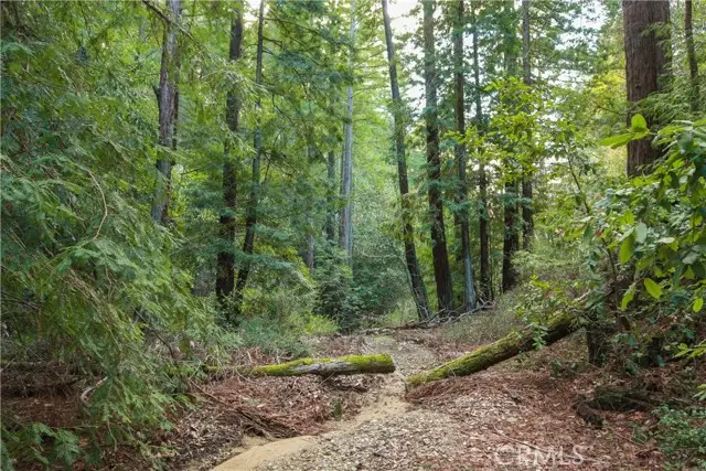 0 Old Mill Road, Felton, CA 95018 - Image #3