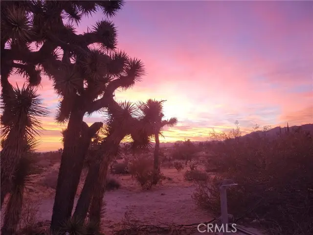 39625 Buena Vista, Morongo Valley, CA 92256 - Image #1