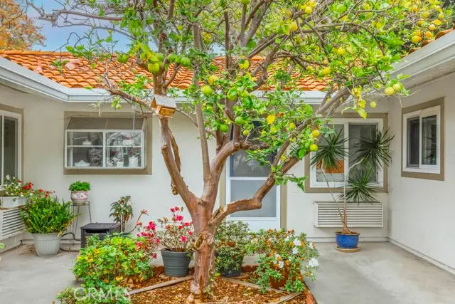 2024 Via Mariposa W. #B, Laguna Woods, MA 02637 - #2