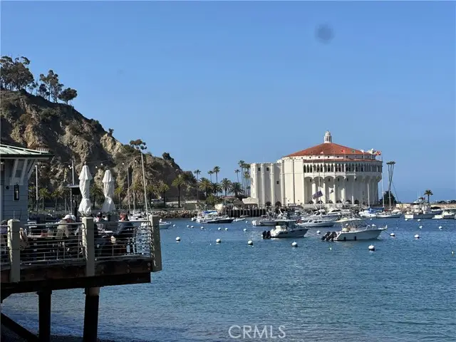 352 Eucalyptus, Avalon, CA 90704 - #1