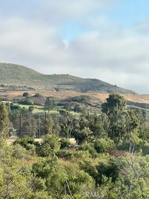 27086 Via Caminata, San Juan Capistrano, CA 92675 - #3