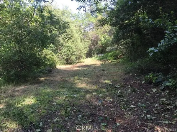 30242 Oak Lane, Silverado Canyon, CA 92676