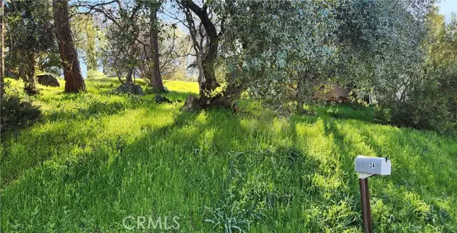 0 La Foret Drive, Oroville, CA 95966 - #1