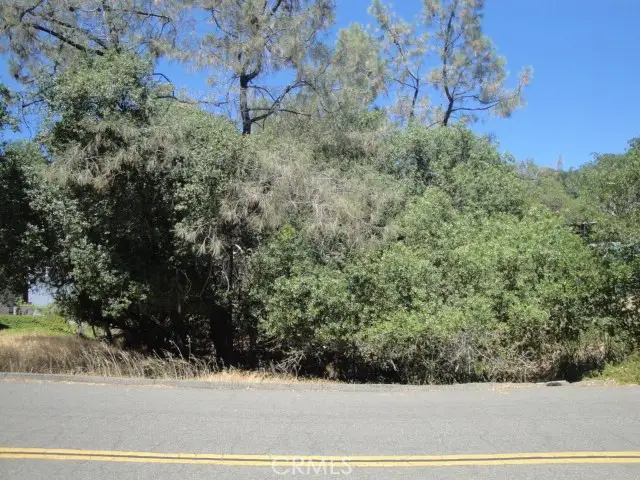 586 Silver Leaf Drive, Oroville, CA 95966 - Image #3