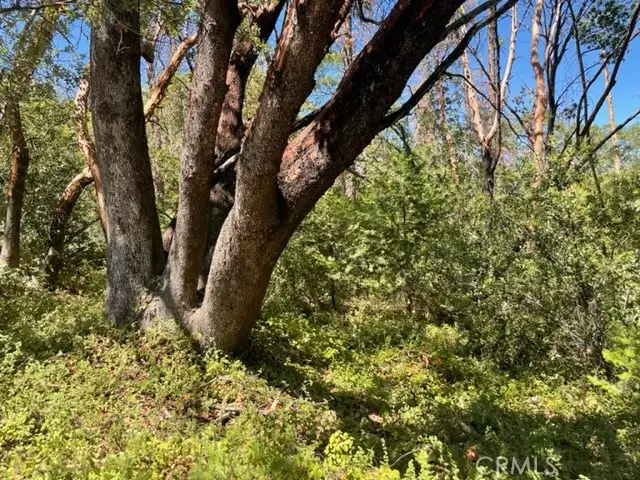 10 Broken Springs, Oroville, CA 95966 - Image #2