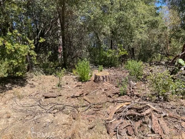 10 Broken Springs, Oroville, CA 95966 - Image #3