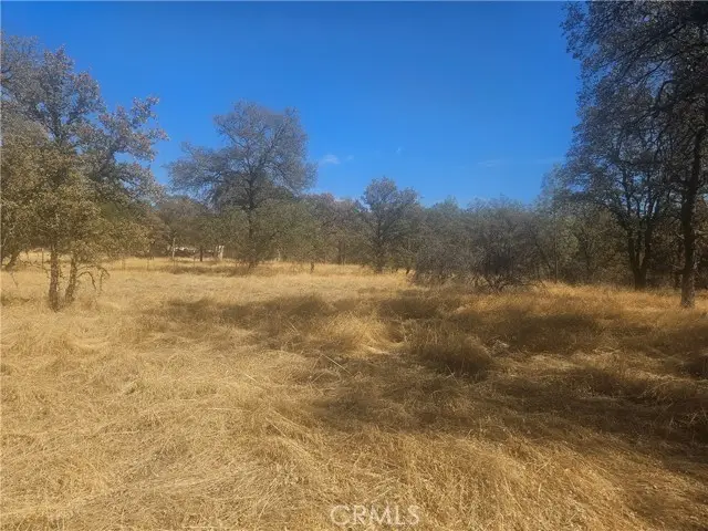 #3