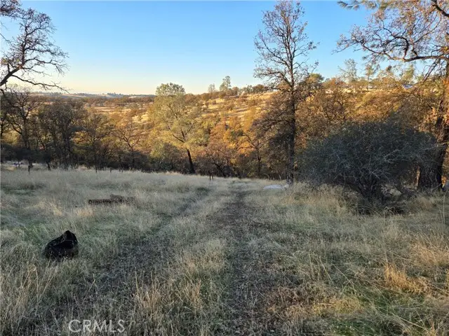 0 Avacado Road, Oroville, CA 95966 - Image #2