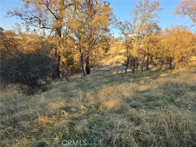 0 Avacado Road, Oroville, CA 95966 - Image #3