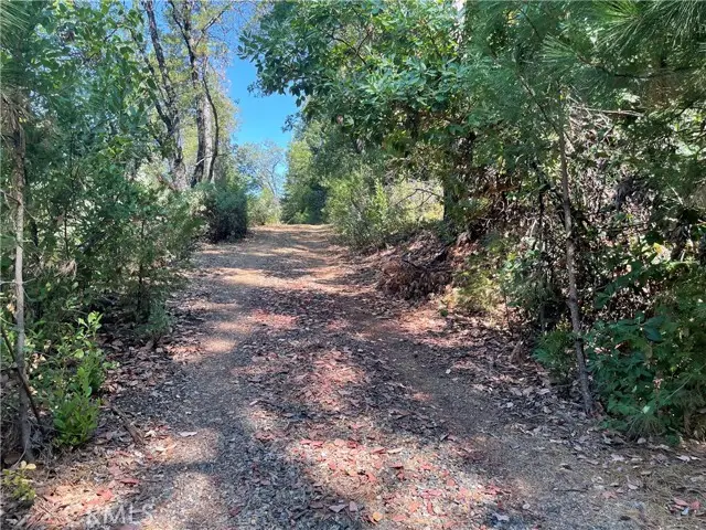 0 Forbestown, Challenge, CA 95925 - #1