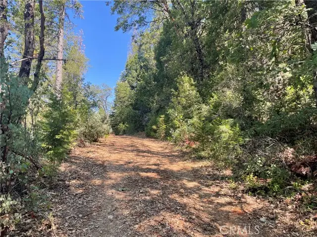 0 Forbestown, Challenge, CA 95925 - #2