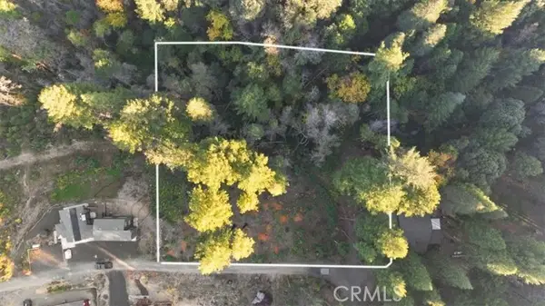 0 Path In The Woods, Berry Creek, CA 95916