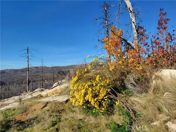 161 Shadow Creek Road, Berry Creek, CA 95916