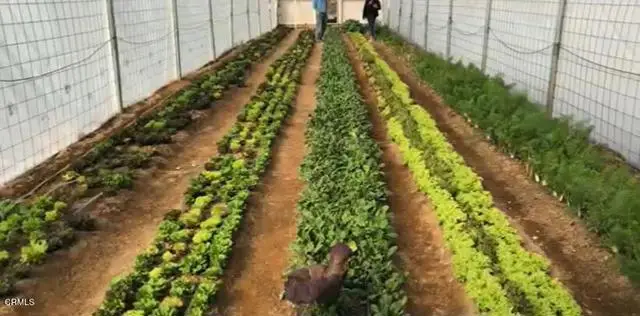 691 Desert Trail Way, Tecopa, CA  - Image #1