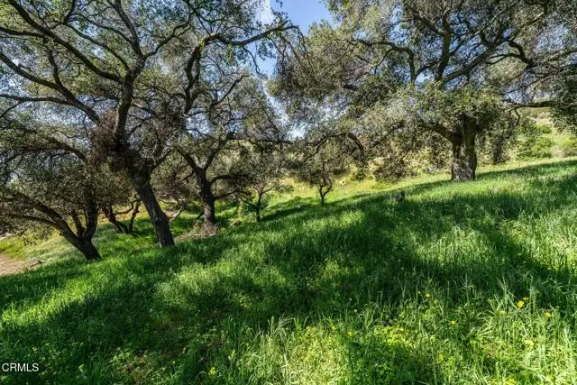 4700 Rising Hill Road, Altadena, CA 91001 - #3