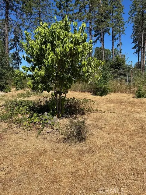 1345 Manhattan, Paradise, CA 95969 - Image #1