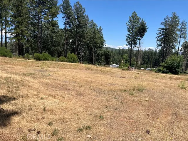 9128 Skyway, Paradise, CA 95969 - Image #2