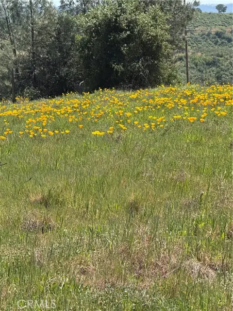 0 Round Valley Ranch Road, Paradise, CA 95969