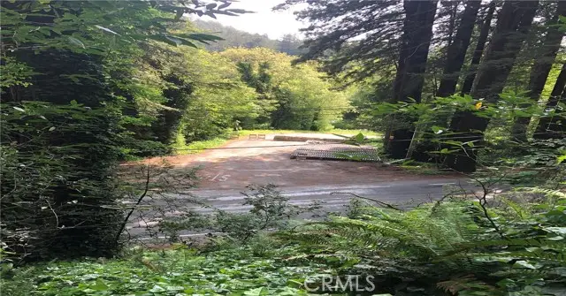 18176 Hwy 116, Guerneville, CA 95446 - Image #3