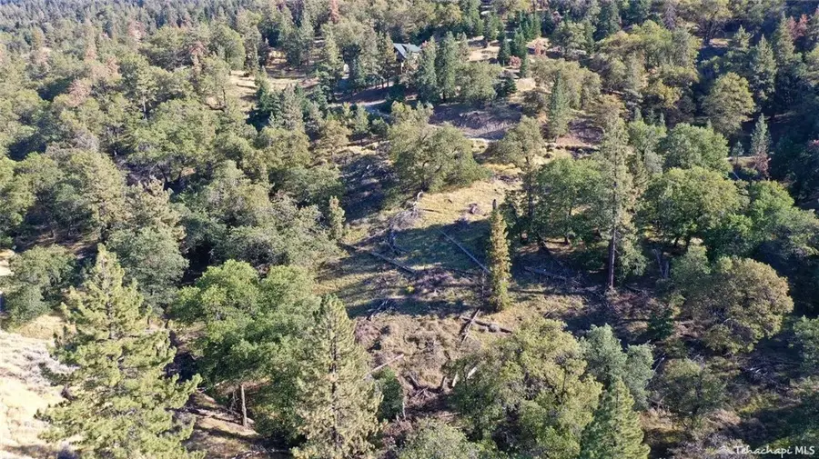 16851 Interlaken Street, Tehachapi, CA 93561 - Image #3