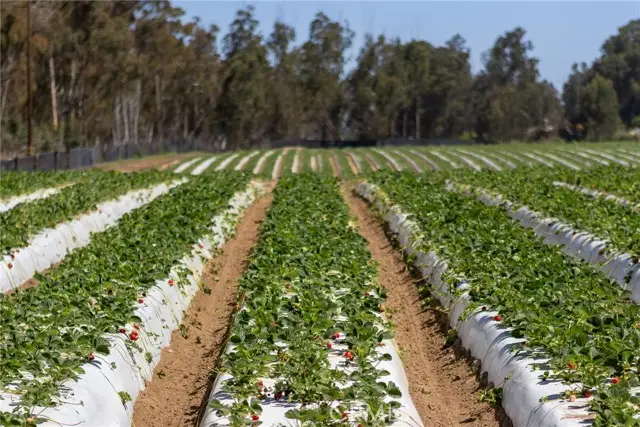 0 Indiana Way, Nipomo, CA 93444 - Image #3