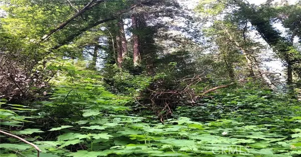 18176 Hwy 116, Guerneville, CA 95446