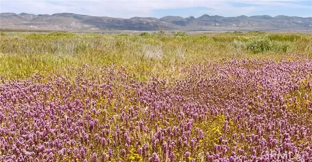 13150 Clarksburg Road, Santa Margarita, CA 93453 - #3